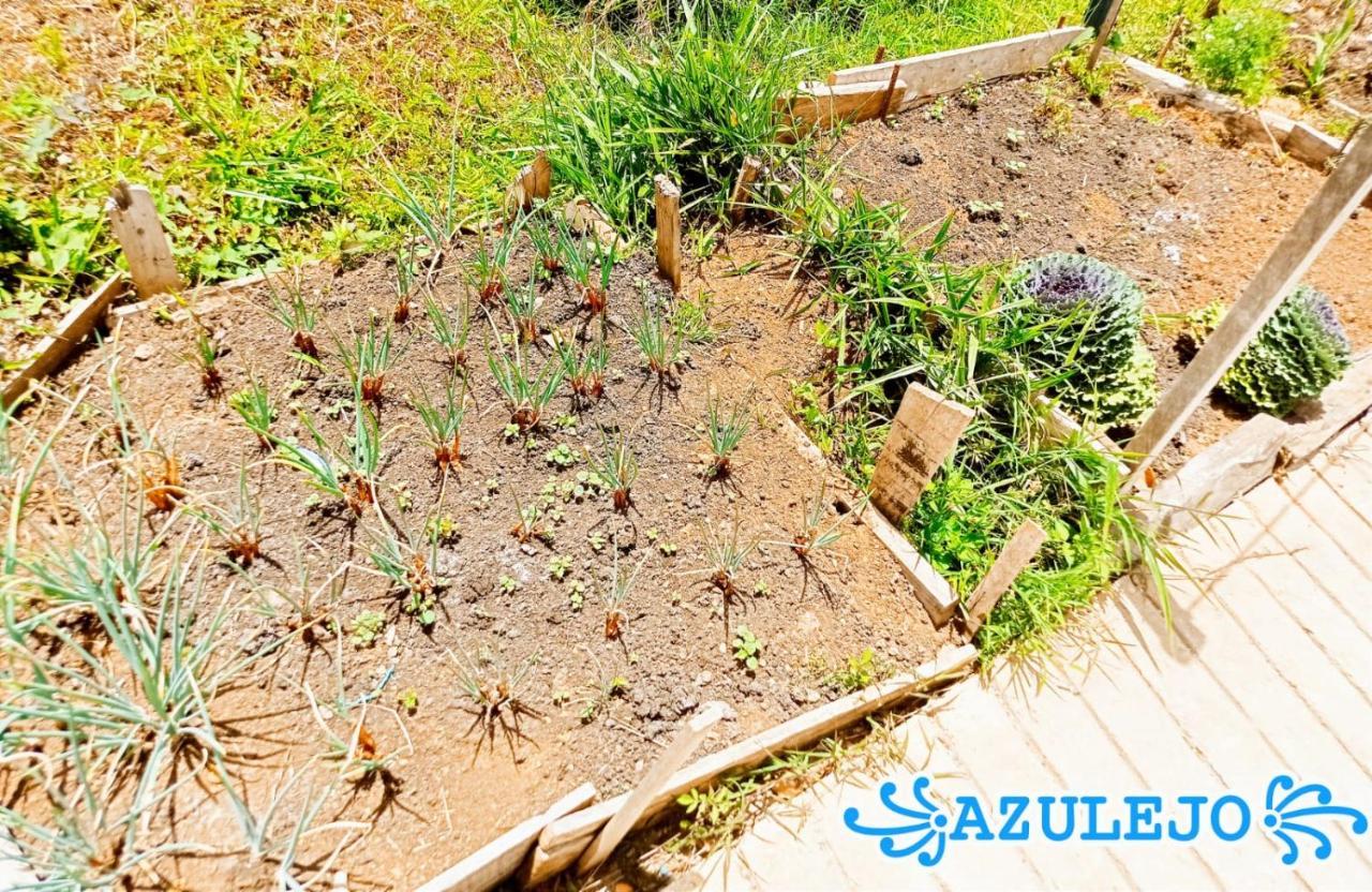 Azulejo 호텔 헤리코 외부 사진